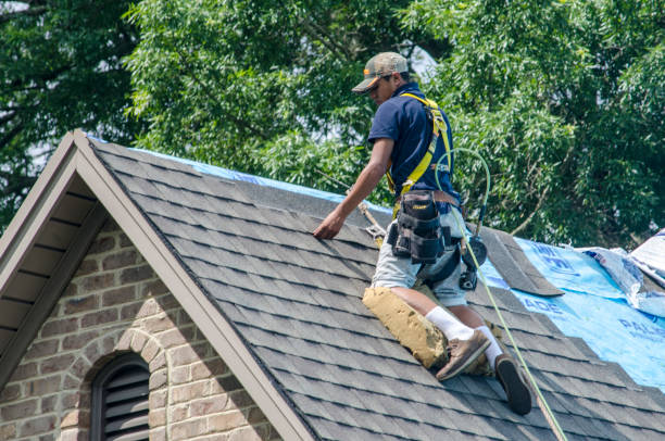 Best Gutter Installation and Roofing  in Lower Burrell, PA