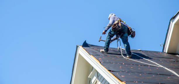 Best Roof Gutter Cleaning  in Lower Burrell, PA